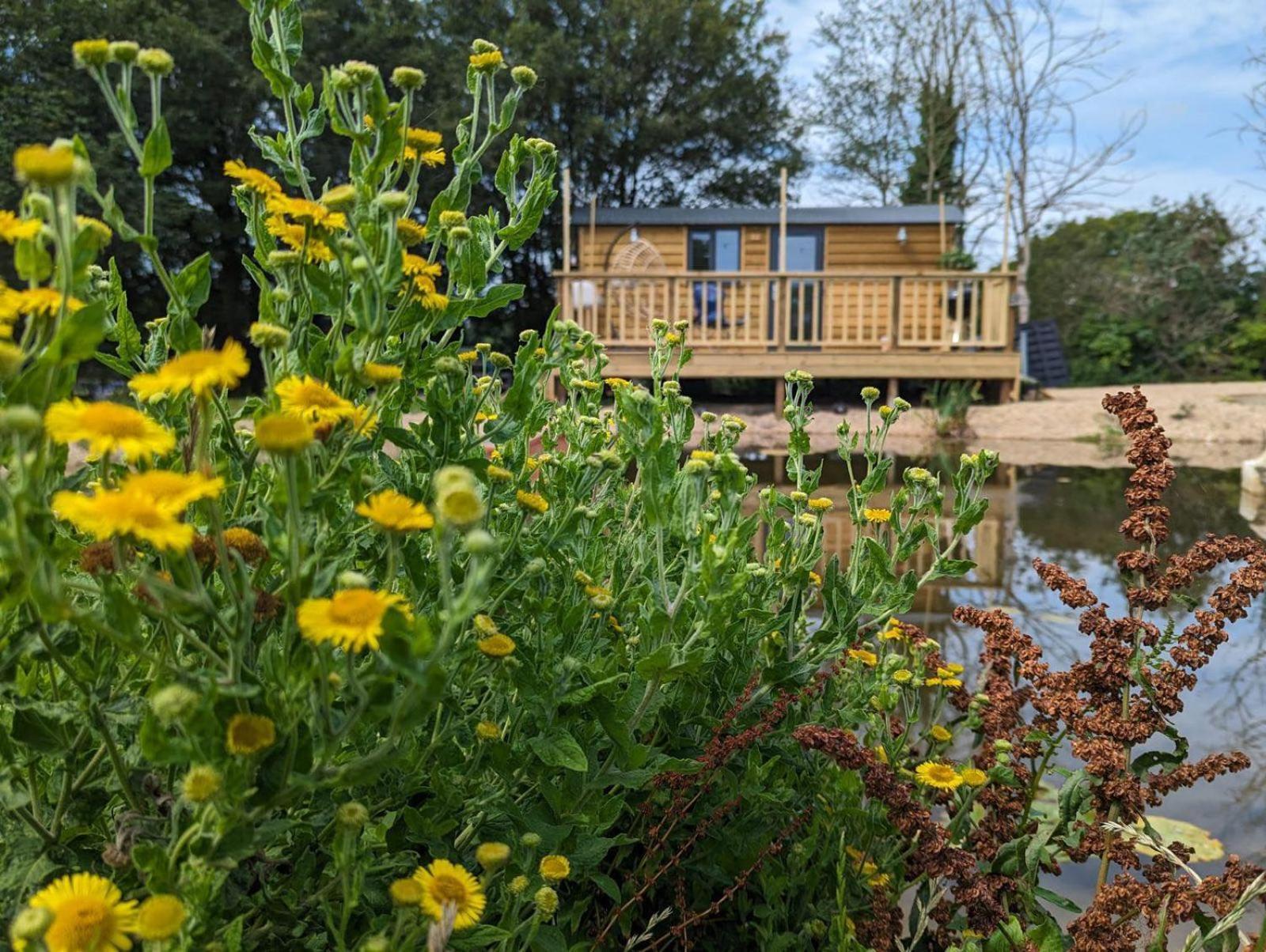 Rusty Duck Retreat Shepherds Hut 셰드필드 외부 사진
